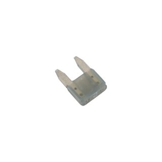 2-Amp Mini Fuse
