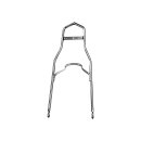 Low Style Sissy Bar for Chain Drive with Flat Fender...