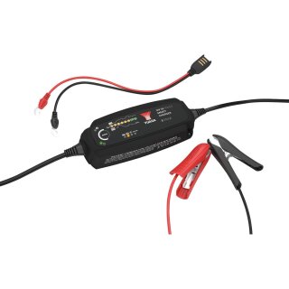 Smart Smart Battery Charger YCX5A12E