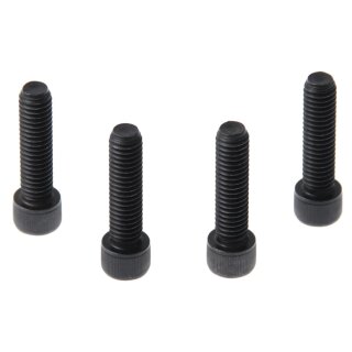 Triple Tree Screw Set (4 Piece Set) , Black Triple Tree Screw Set