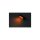 Conero LED Turn Signal Black Smoke LED