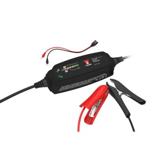 Smart Smart Battery Charger YCX0.8A12E