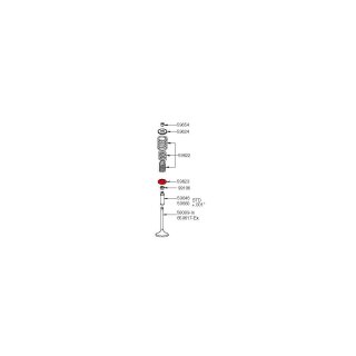 VALVE SPRING CUP Revtech Valve Spring Cup