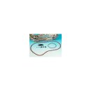 PRIMARY COVER GASKET & SEAL KIT