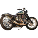 Softail Tracker 150 Tire, Black Powdercoated Struts Rear Fender Kit