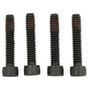 10-24 x 1" Torx Stators Mounting Screws Pack of 4