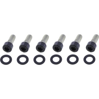 Exhaust Screw Kits Gloss Black Powder Coated