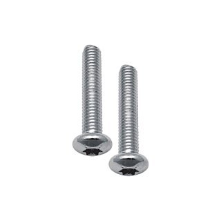 Ignition Cover Screw