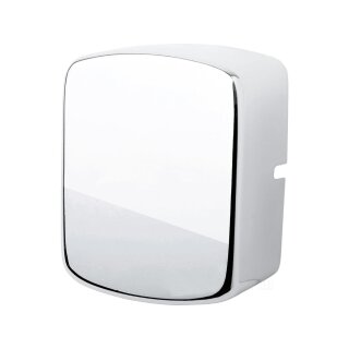 Plain Ignition Coil Cover Chrome