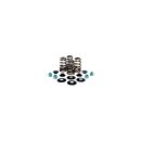 BEEHIVE VALVE SPRING KIT 0.660" LIFT