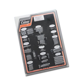 Fork Drain Screw Kit Chrome
