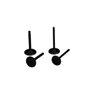 Black Diamond INTAKE VALVE