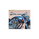 Rad II Micro Mirror Chrome