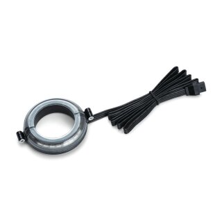 Prism Roulette Wheel Light Clear LED