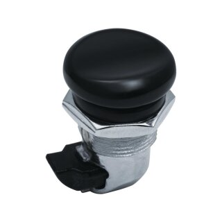 Fuel Door Latch Push Button