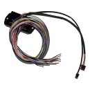 Bagger Can Bus Controller for Custom Handlebar Switches...