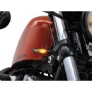 D-Light LED Turn Signal Black Clear LED