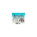 EVO MOTOR GASKET KIT