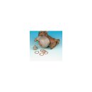 Float Bowl Nut Gasket / Copper Crush Washer