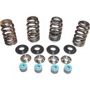 05 TC VALVE SPRING STL CLR