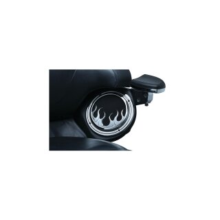 Rear Speaker Accents