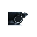 Rear Speaker Accents