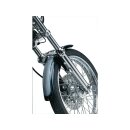 Fork Skin Chrome