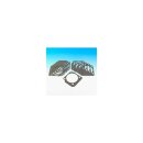 Shovelhead Rear Cylinder Base Gasket