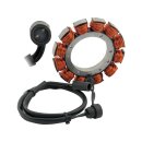 Lectric Stator 22 AMP Unmolded