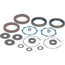 Gasket & Seal Kit, Front Fork