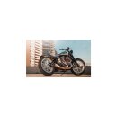 Softail Tracker 200 Tire, Chrome Struts Rear Fender Kit