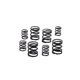 Valve Spring Kit Pan/Shovel