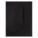 Dickies Taylor hoodie black