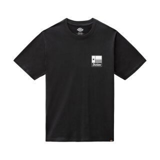 Dickies Taylor T-shirt black