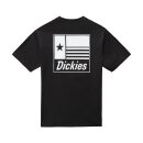 Dickies Taylor T-shirt black