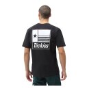 Dickies Taylor T-shirt black