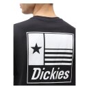 Dickies Taylor T-shirt black