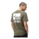 Dickies Taylor T-shirt military green