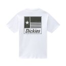 Dickies Taylor T-shirt white