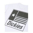 Dickies Taylor T-shirt white