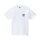 Dickies Taylor T-shirt white