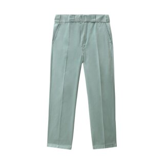 Dickies Elizaville pants jadeite