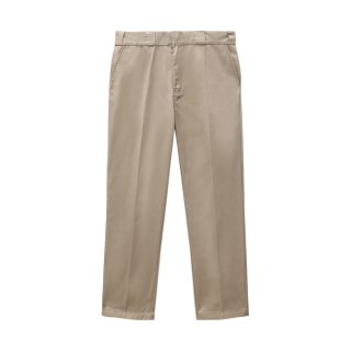 Dickies Elizaville pants khaki