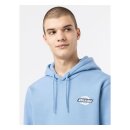 Dickies Ruston hoodie allure