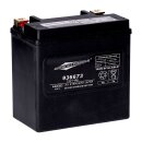 MCS, 12V sealed AGM battery. 12Ah. 200CCA