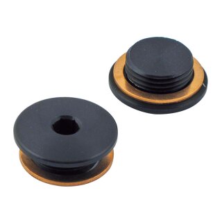 PENZ, EXHAUST 02 SENSOR PLUG SET