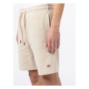 Dickies Champlin shorts cement