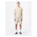 Dickies Champlin shorts cement