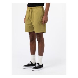 Dickies Pelican Rapids shorts green moss