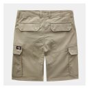 Dickies Millerville shorts khaki